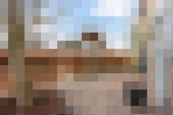 Stedegroen 2 Assen thumbnail 13