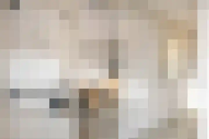 Stedegroen 2 Assen thumbnail 17