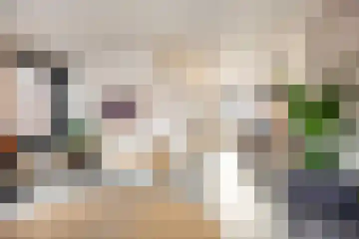 Stedegroen 2 Assen thumbnail 25