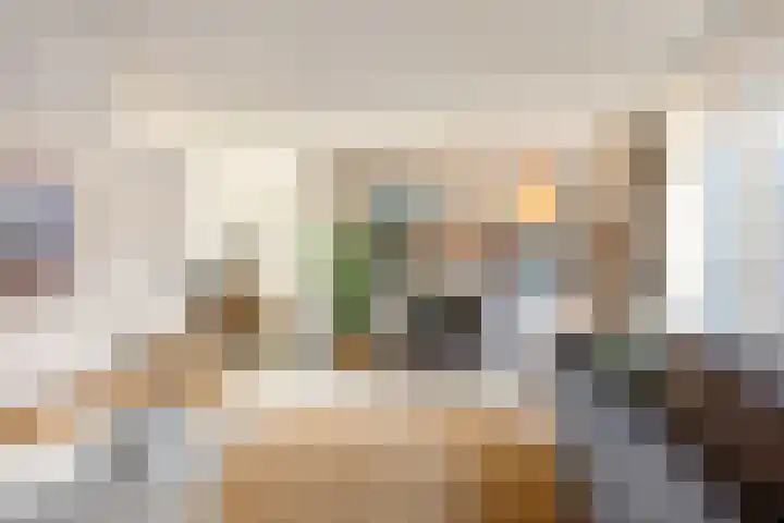 Stedegroen 2 Assen thumbnail 27