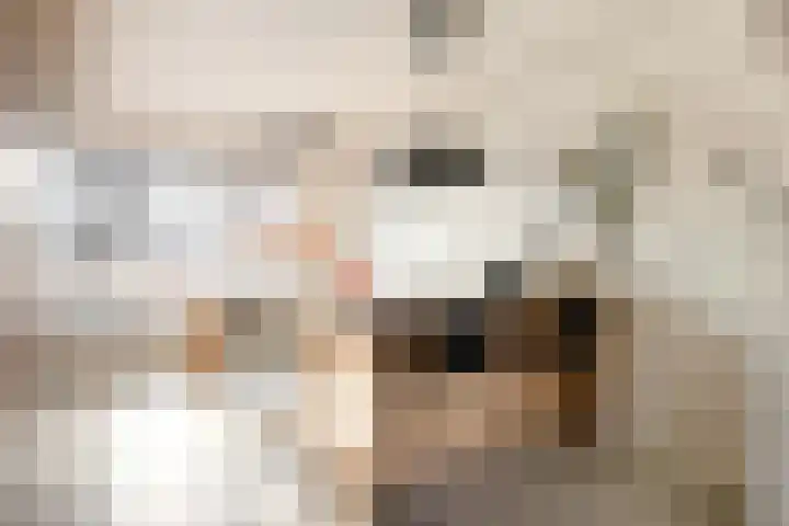 Stedegroen 2 Assen thumbnail 29