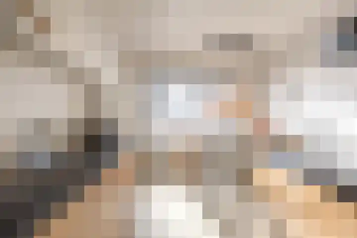 Stedegroen 2 Assen thumbnail 30
