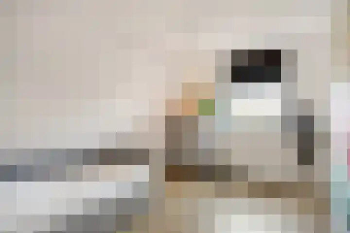 Stedegroen 2 Assen thumbnail 36