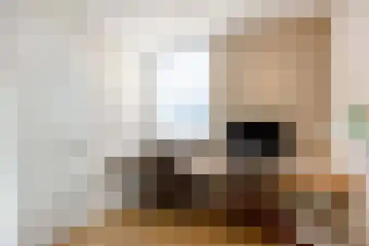 Stedegroen 2 Assen thumbnail 38
