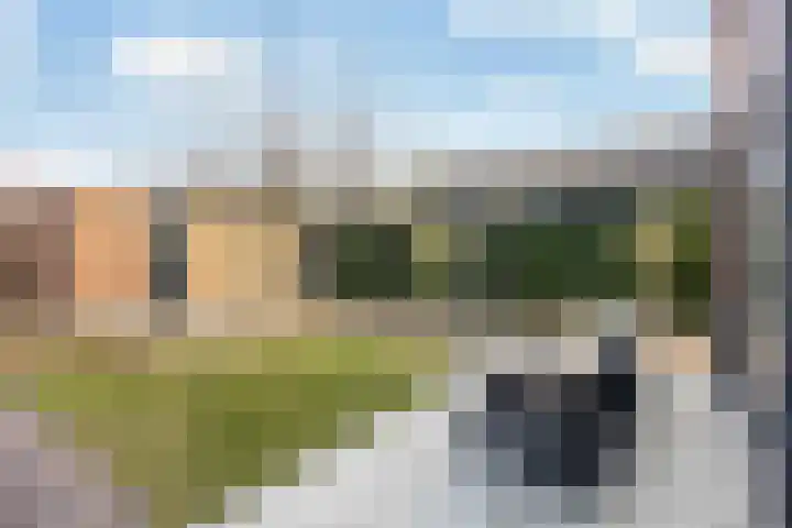 Stedegroen 2 Assen thumbnail 52