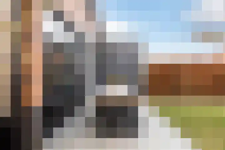 Stedegroen 2 Assen thumbnail 53