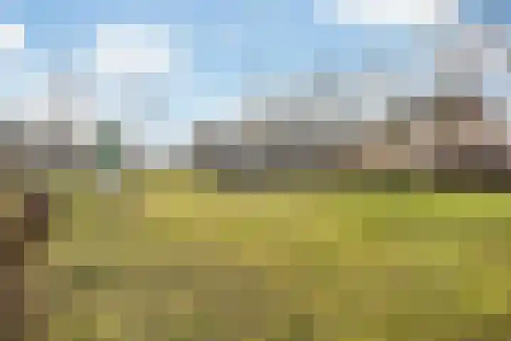 Stedegroen 2 Assen thumbnail 61