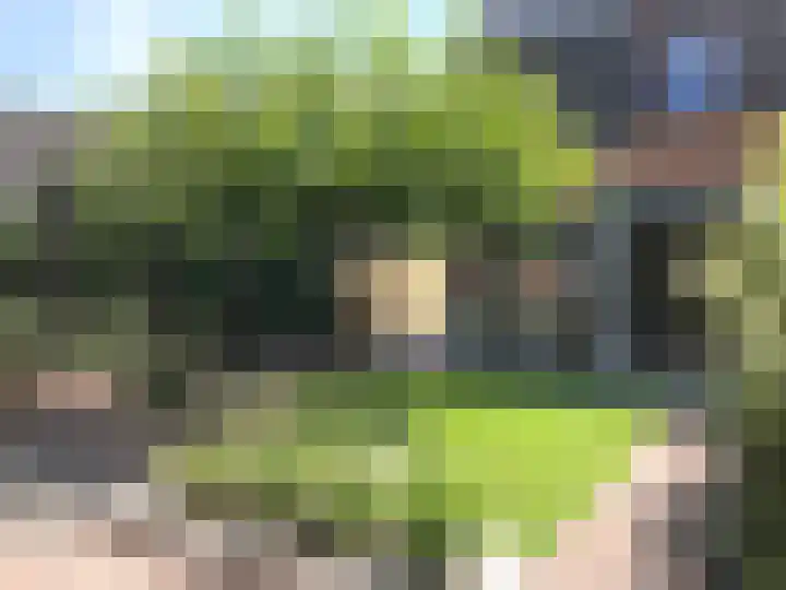 Stedegroen 2 Assen thumbnail 63