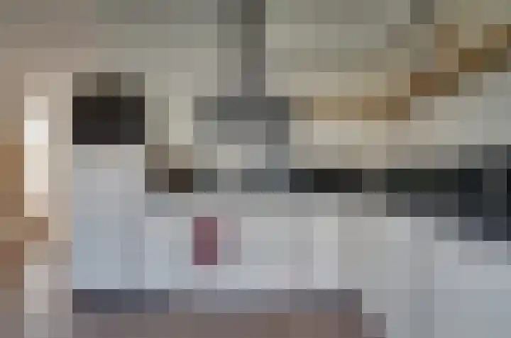 Stedehof 39 Assen thumbnail 11