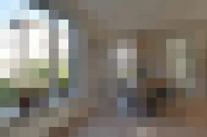Stedehof 39 Assen thumbnail 12