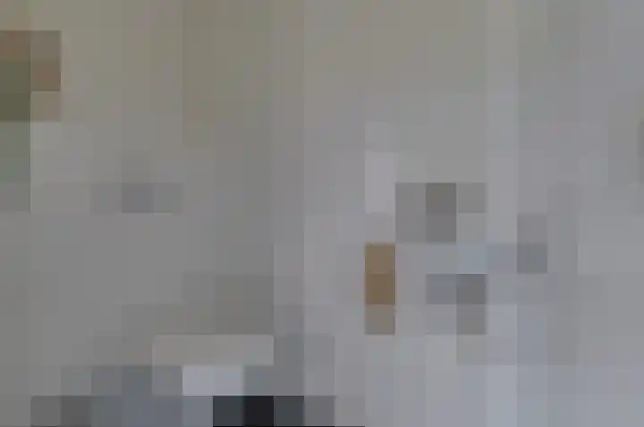 Stedehof 39 Assen thumbnail 15