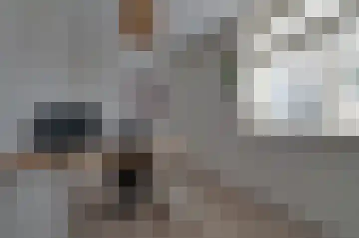 Stedehof 39 Assen thumbnail 19