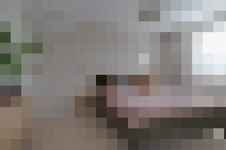 Stedehof 39 Assen thumbnail 21