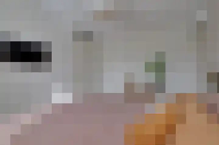 Stedehof 39 Assen thumbnail 22