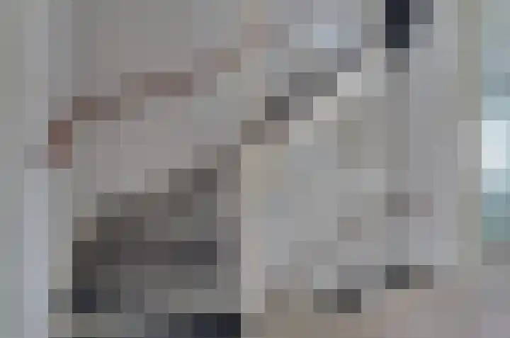 Stedehof 39 Assen thumbnail 26