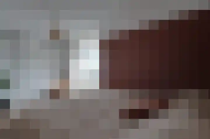 Stedehof 39 Assen thumbnail 32