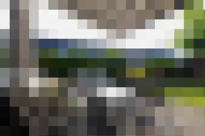 Stedehof 39 Assen thumbnail 36