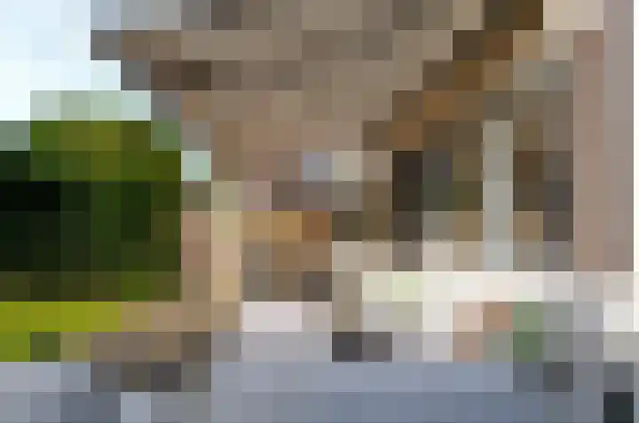 Stedehof 39 Assen thumbnail 37