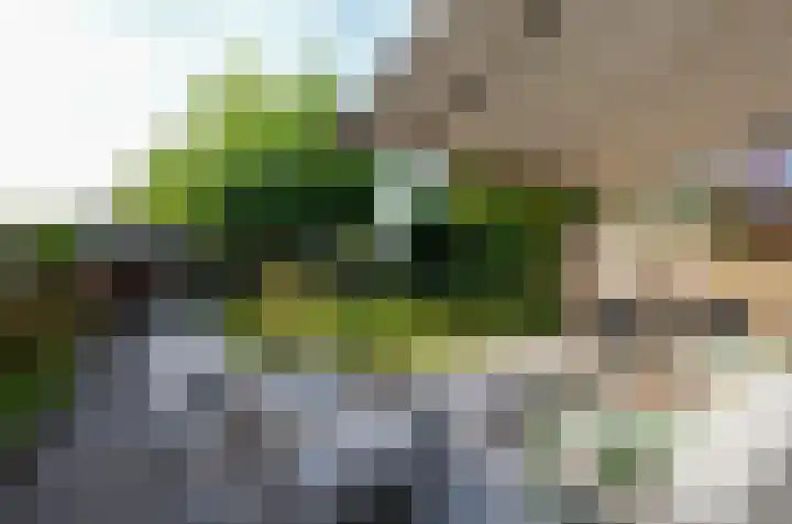 Stedehof 39 Assen thumbnail 38