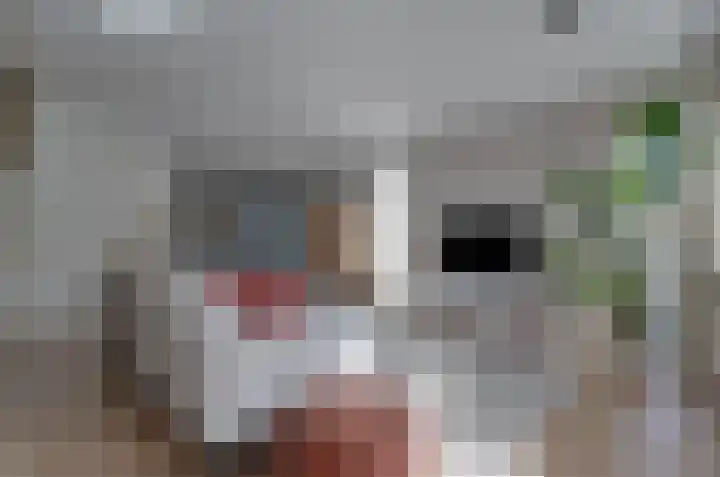 Stedehof 39 Assen thumbnail 4
