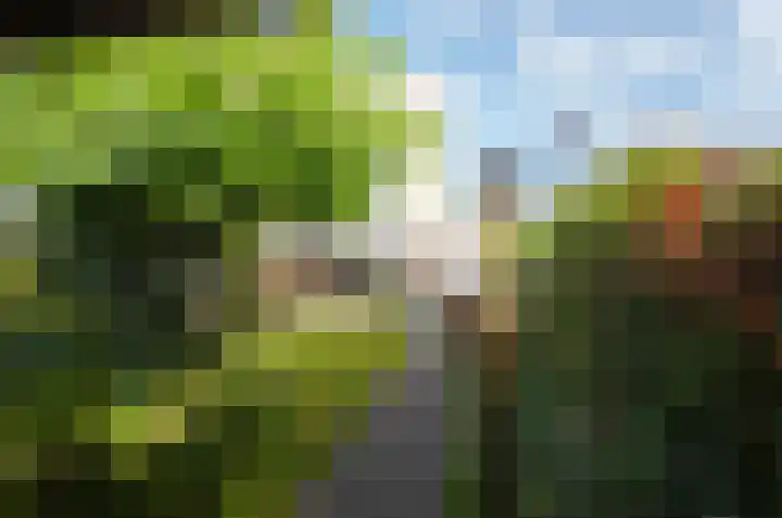Stedehof 39 Assen thumbnail 42