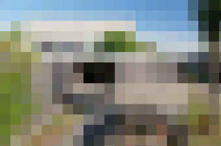 Stedehof 39 Assen thumbnail 43