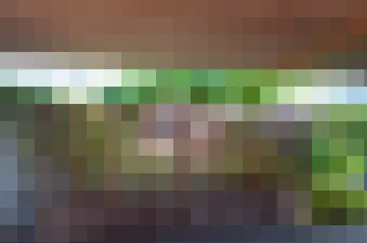 Stedehof 39 Assen thumbnail 44