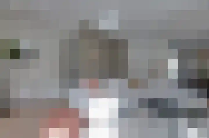 Stedehof 39 Assen thumbnail 6