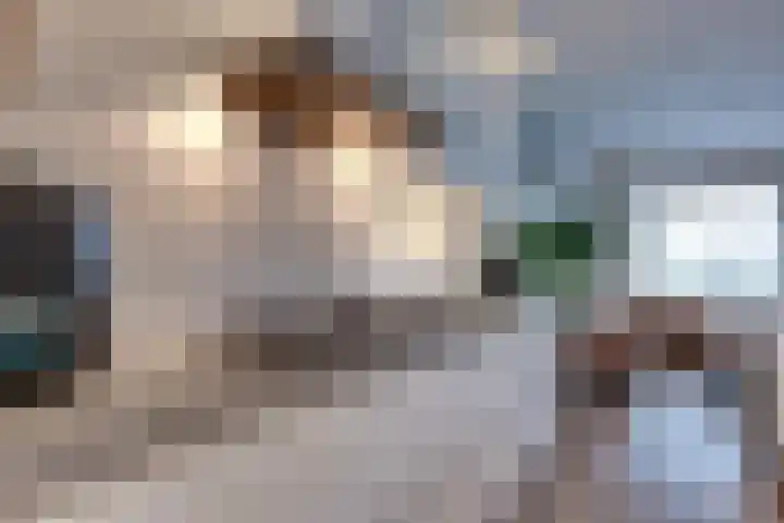 Stedehof 45 Assen thumbnail 11