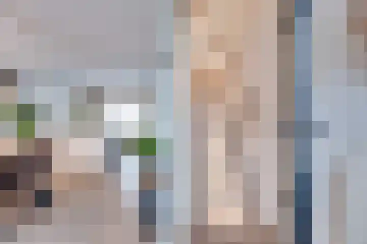 Stedehof 45 Assen thumbnail 12