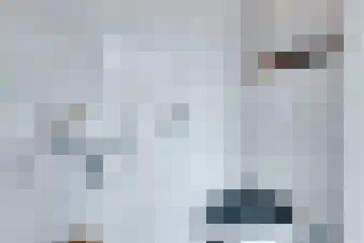 Stedehof 45 Assen thumbnail 13