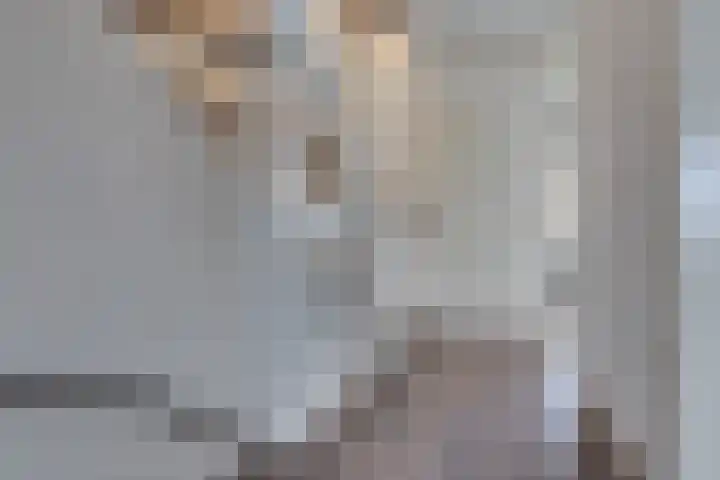 Stedehof 45 Assen thumbnail 14