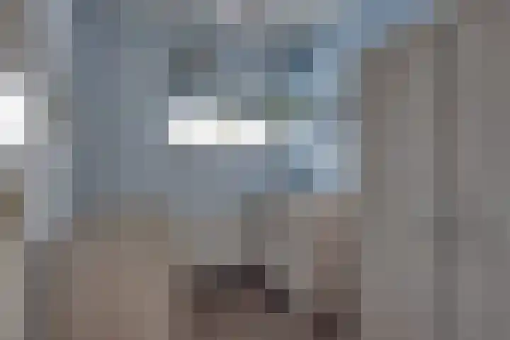 Stedehof 45 Assen thumbnail 17