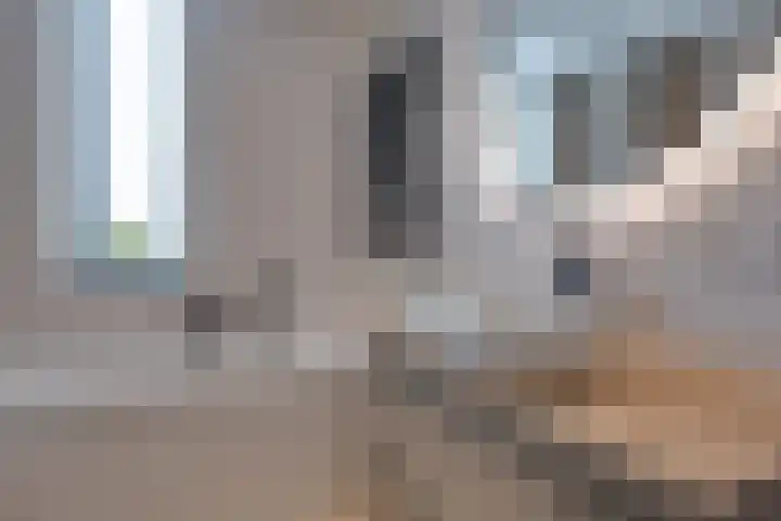 Stedehof 45 Assen thumbnail 20