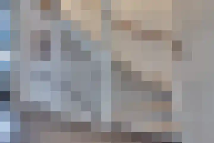 Stedehof 45 Assen thumbnail 23