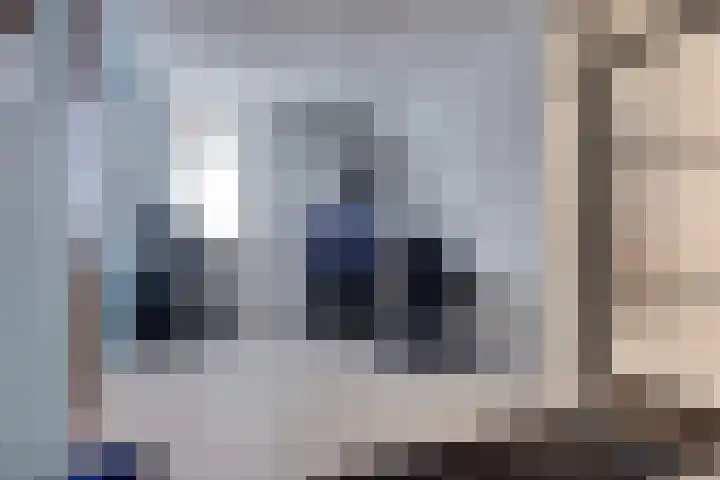 Stedehof 45 Assen thumbnail 25