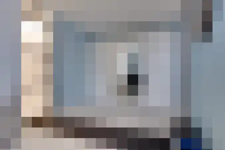 Stedehof 45 Assen thumbnail 26