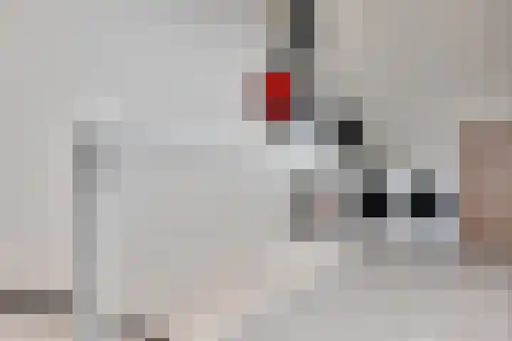 Stedehof 45 Assen thumbnail 27