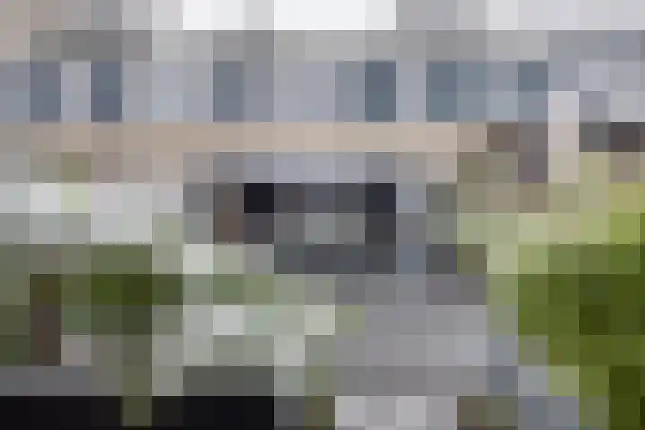 Stedehof 45 Assen thumbnail 28