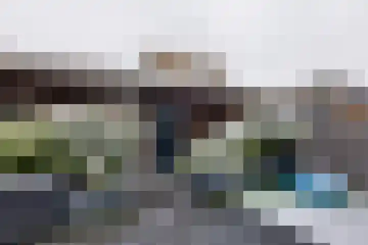 Stedehof 45 Assen thumbnail 30
