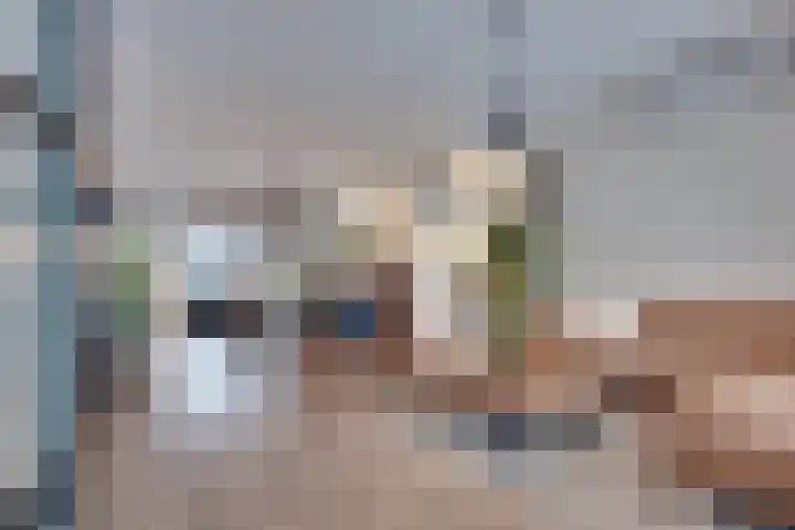 Stedehof 45 Assen thumbnail 4