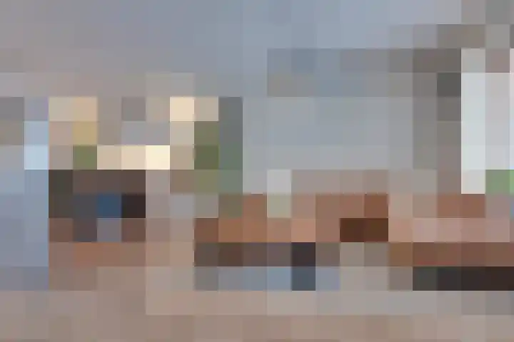 Stedehof 45 Assen thumbnail 6