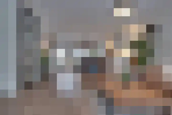 Stedehof 45 Assen thumbnail 7