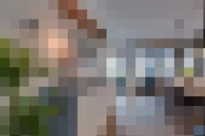 Stedehof 45 Assen thumbnail 8