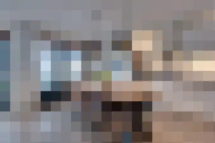Stedehof 45 Assen thumbnail 9