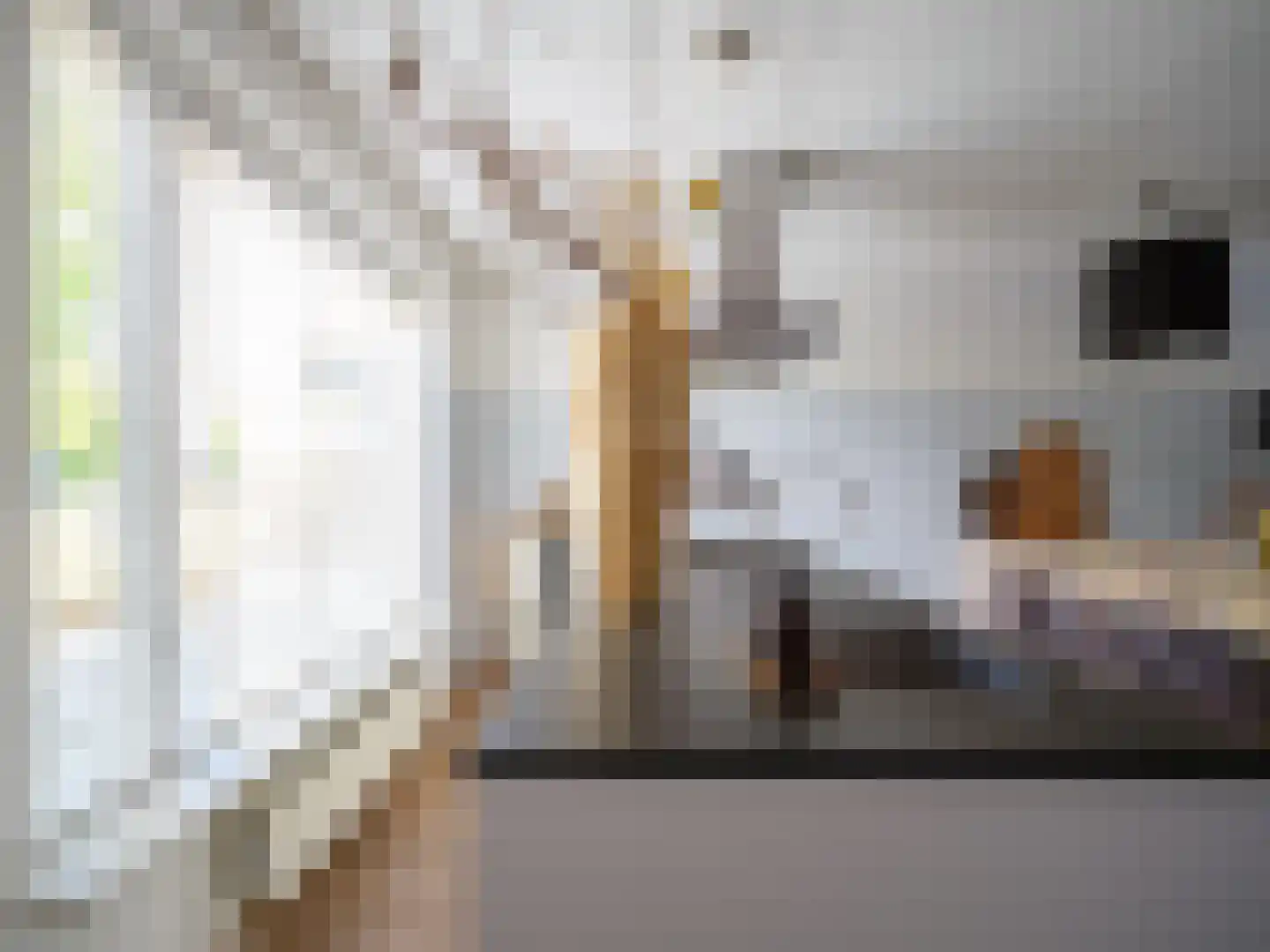 Stedehof 58 Assen thumbnail 10
