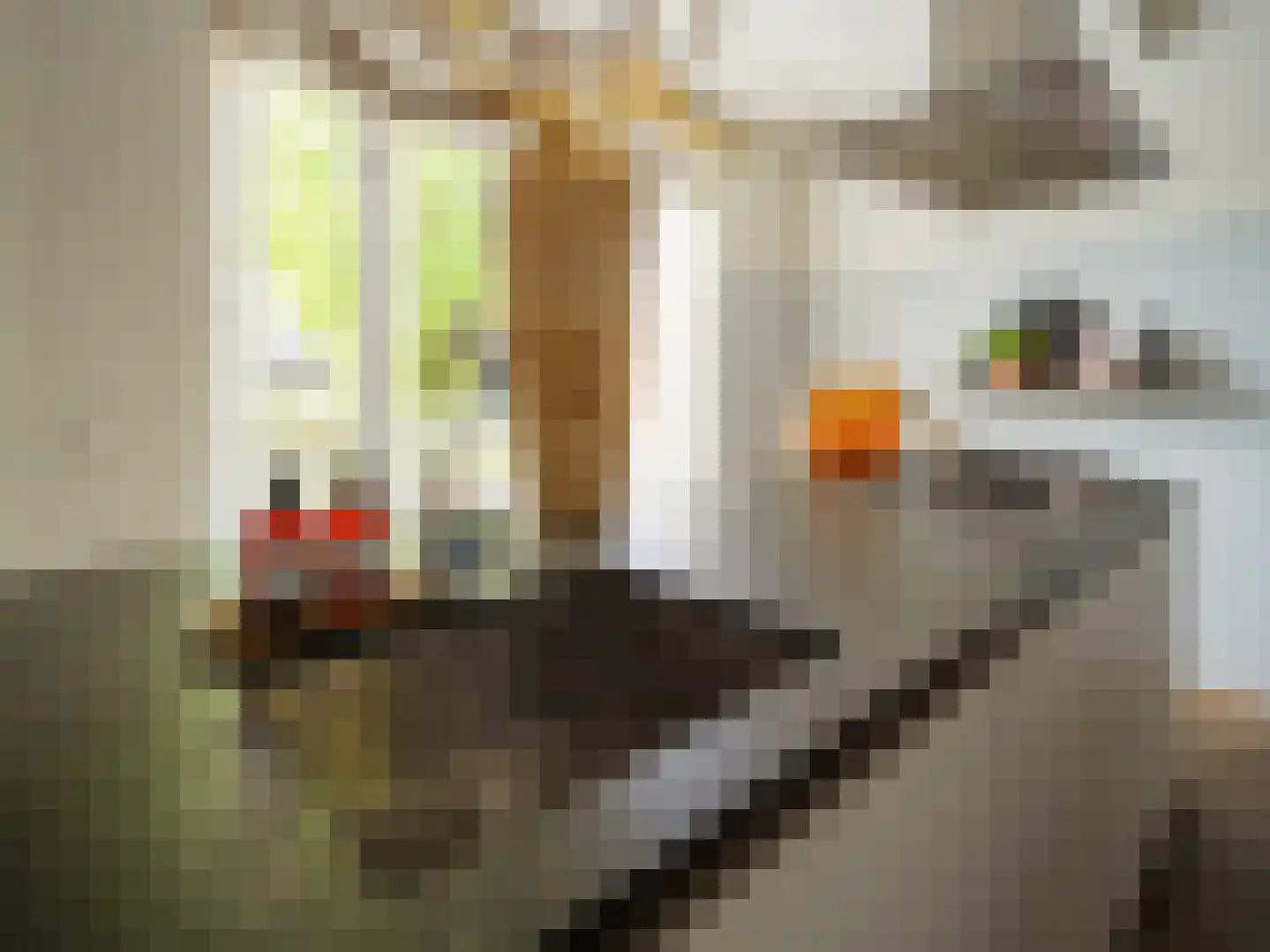 Stedehof 58 Assen thumbnail 11