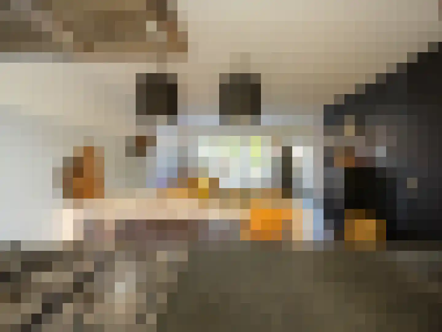 Stedehof 58 Assen thumbnail 12