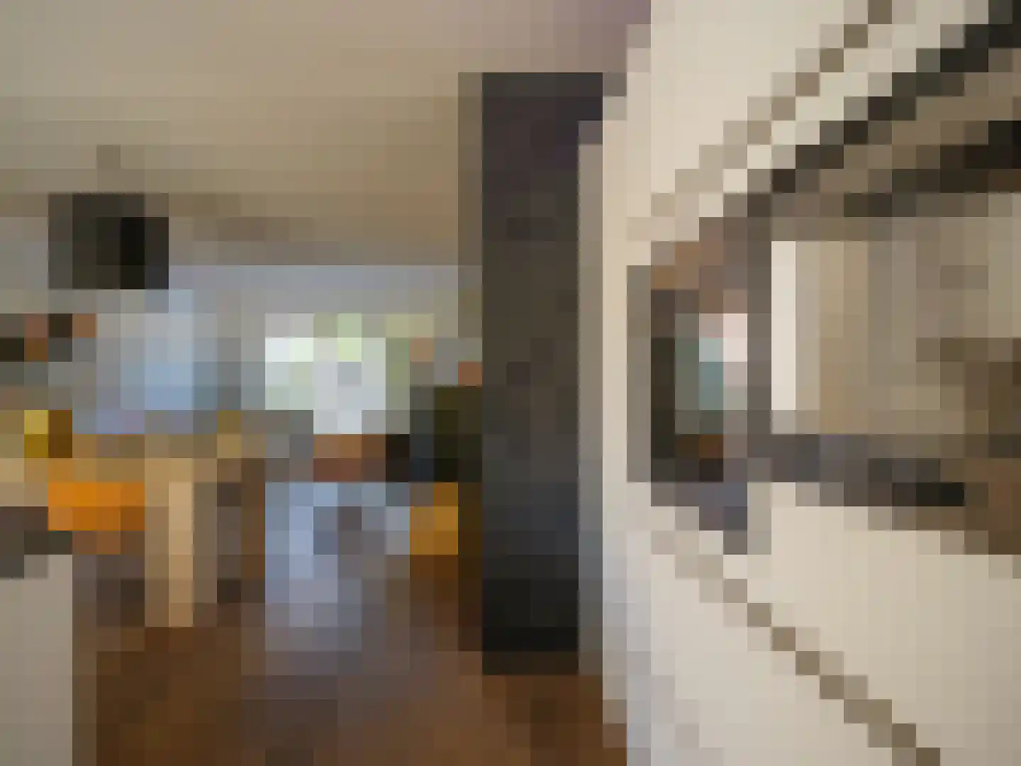 Stedehof 58 Assen thumbnail 13
