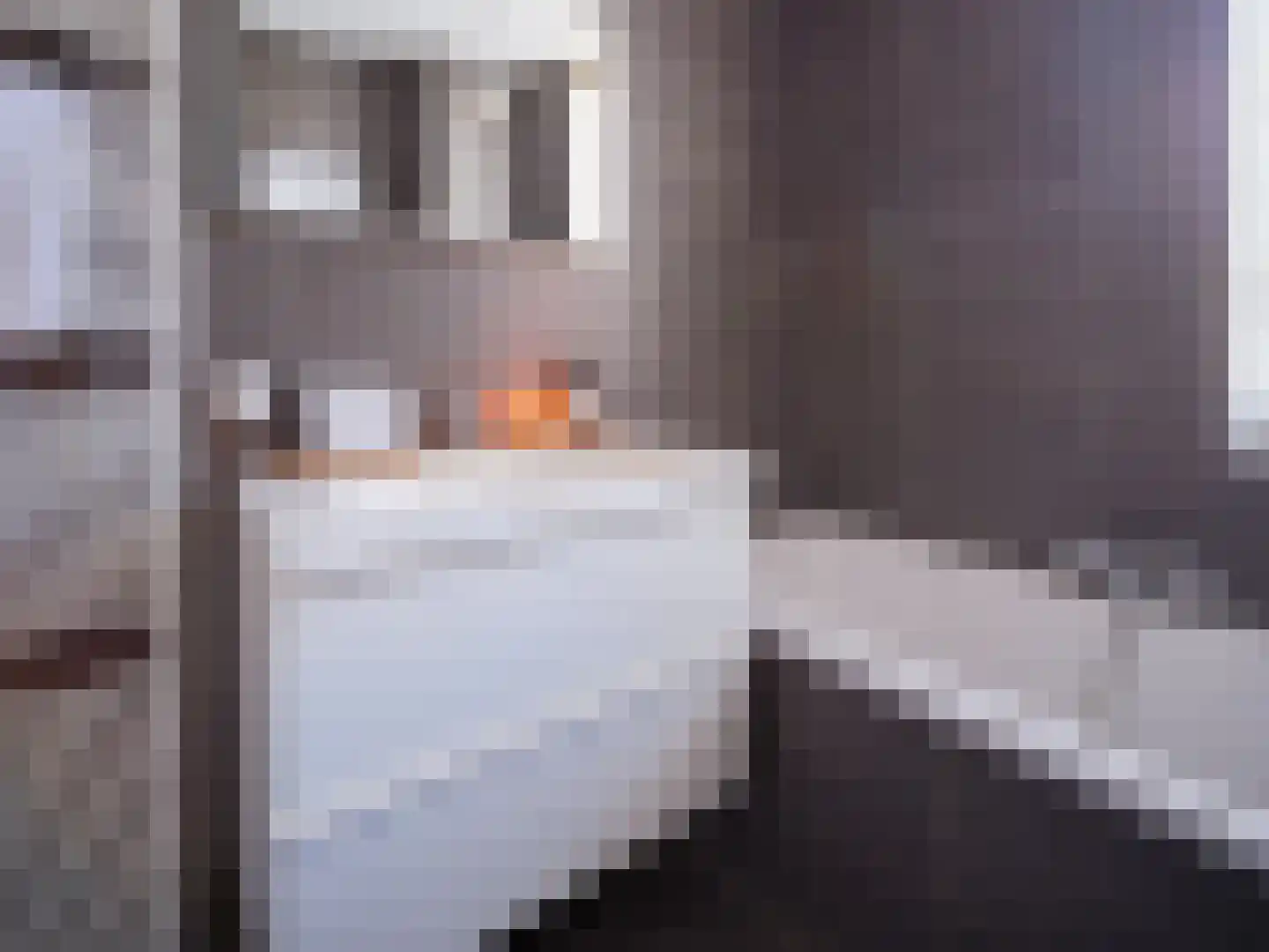 Stedehof 58 Assen thumbnail 17